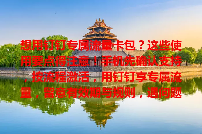 想用钉钉专属流量卡包?这些使用要点得注意!手机先确认支持,按流程激活,用钉钉享专属流量,留意有效期与规则,遇问题找客服,掌握用法畅享办公便捷