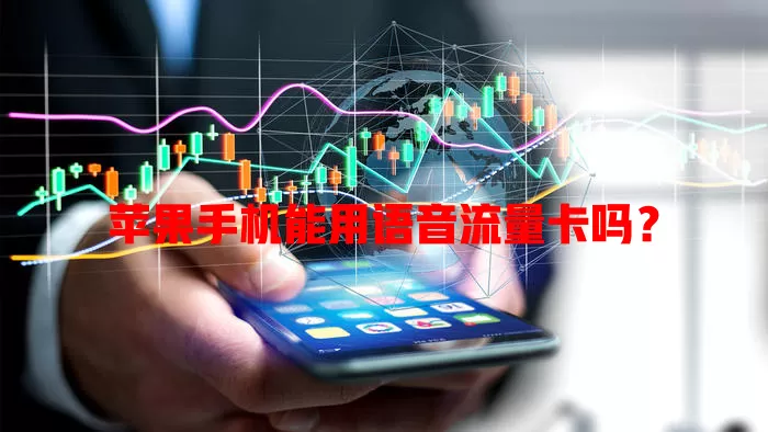苹果手机能用语音流量卡吗?