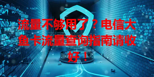 流量不够用了?电信大鱼卡流量查询指南请收好!