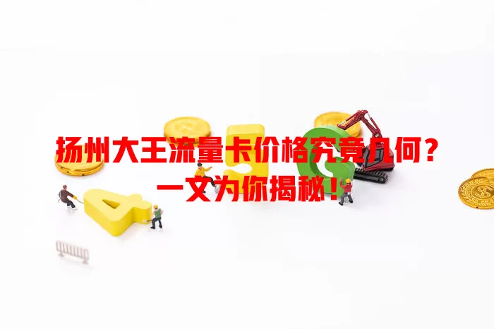 扬州大王流量卡价格究竟几何?一文为你揭秘!