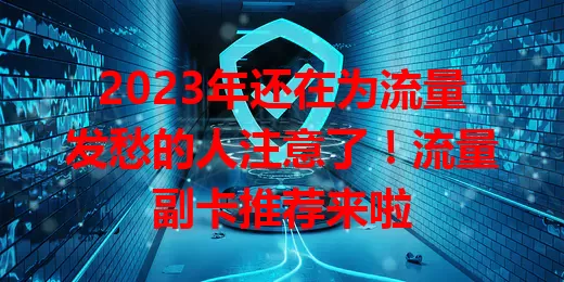 2023年还在为流量发愁的人注意了!流量副卡推荐来啦