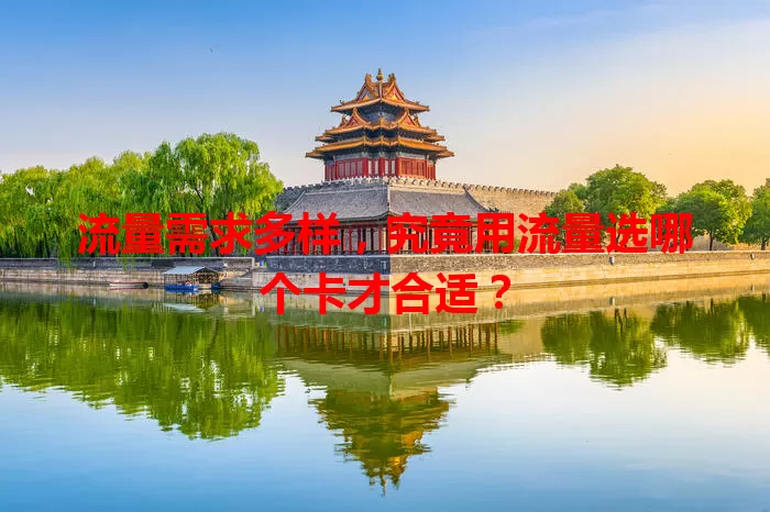 流量需求多样,究竟用流量选哪个卡才合适?
