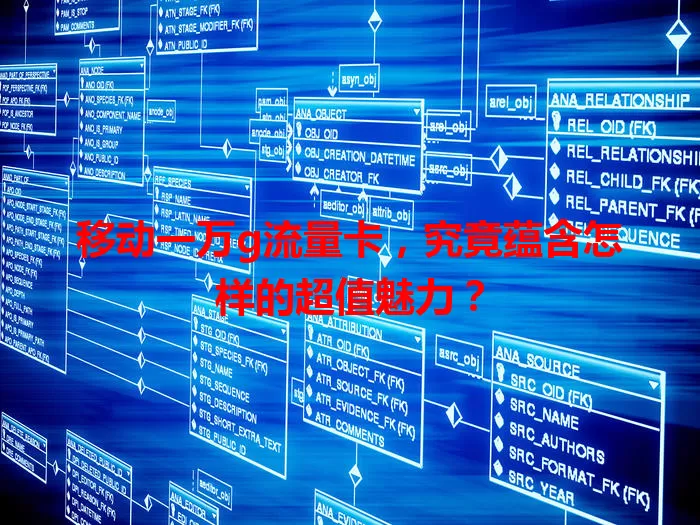 移动一万g流量卡,究竟蕴含怎样的超值魅力?