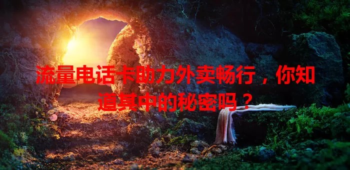 流量电话卡助力外卖畅行,你知道其中的秘密吗?