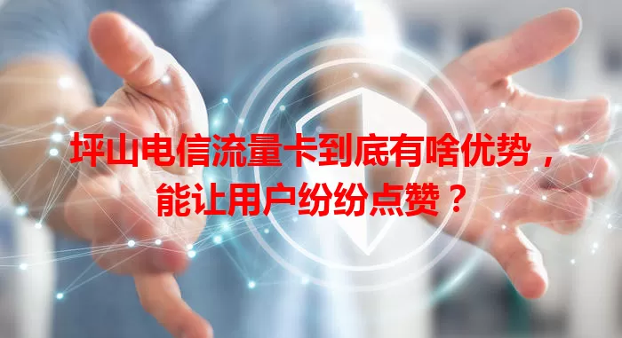 坪山电信流量卡到底有啥优势,能让用户纷纷点赞?