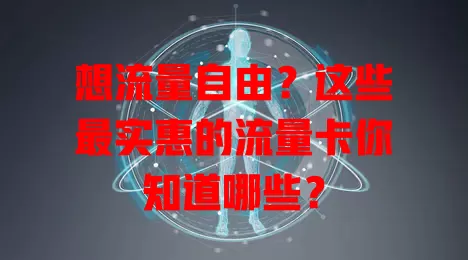 想流量自由?这些最实惠的流量卡你知道哪些?