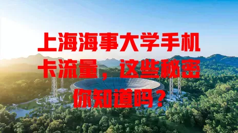 上海海事大学手机卡流量,这些秘密你知道吗?