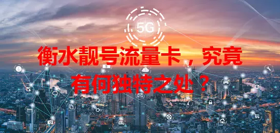 衡水靓号流量卡,究竟有何独特之处?