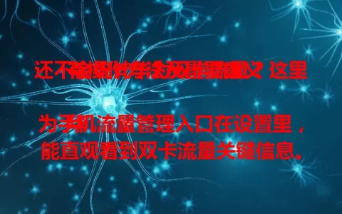 还不会统计华为双卡流量？这里有操作方法及重要意义！

华为手机流量管理入口在设置里，能直观看到双卡流量关键信息。可了解消耗趋势，合理分配资源，还能预测流量、对比分析，科学管理流量不浪费。