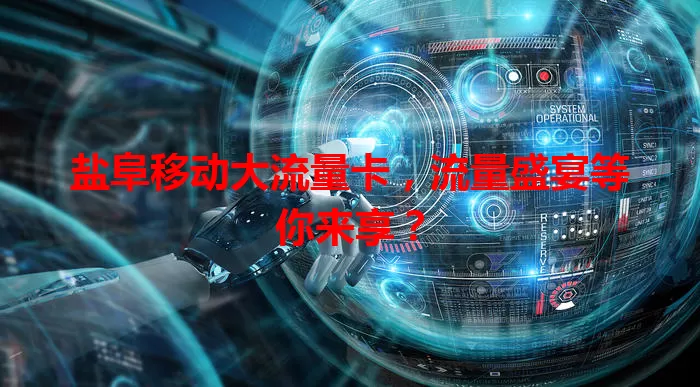 盐阜移动大流量卡,流量盛宴等你来享?