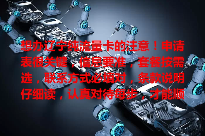 想办辽宁纯流量卡的注意!申请表很关键,信息要准,套餐按需选,联系方式必填对,条款说明仔细读,认真对待每步,才能顺利办卡享便捷网络生活