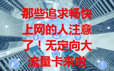 那些追求畅快上网的人注意了！无定向大流量卡来啦