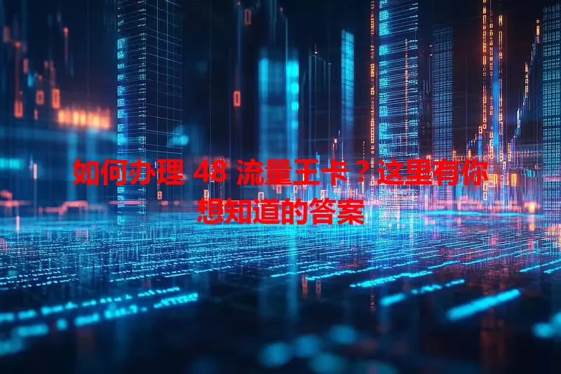 如何办理 48 流量王卡?这里有你想知道的答案