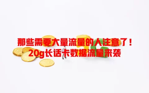 那些需要大量流量的人注意了！20g长话卡数据流量来袭
