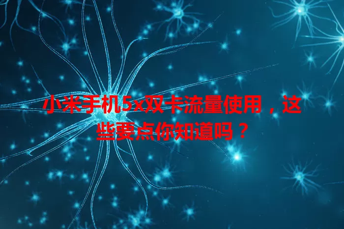 小米手机5x双卡流量使用,这些要点你知道吗?