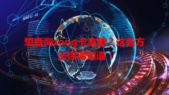 想查询zong卡流量?这些方法你得知道!