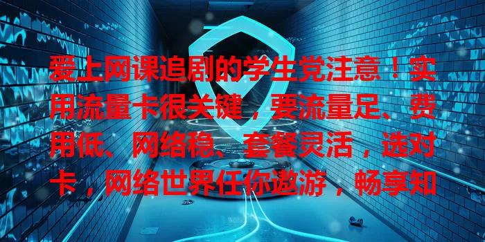 爱上网课追剧的学生党注意!实用流量卡很关键,要流量足、费用低、网络稳、套餐灵活,选对卡,网络世界任你遨游,畅享知识与乐趣