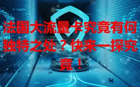 法国大流量卡究竟有何独特之处？快来一探究竟！
