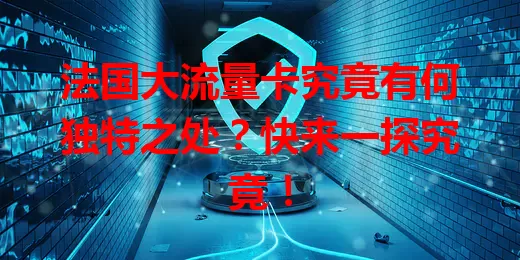 法国大流量卡究竟有何独特之处?快来一探究竟!