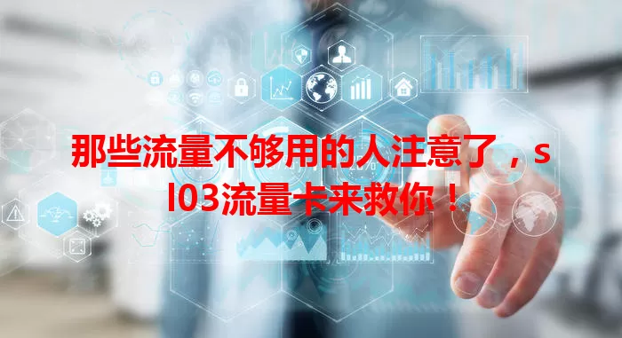 那些流量不够用的人注意了,sl03流量卡来救你!