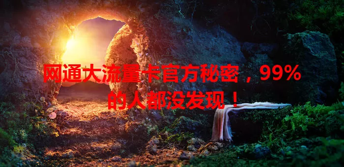 网通大流量卡官方秘密,99%的人都没发现!