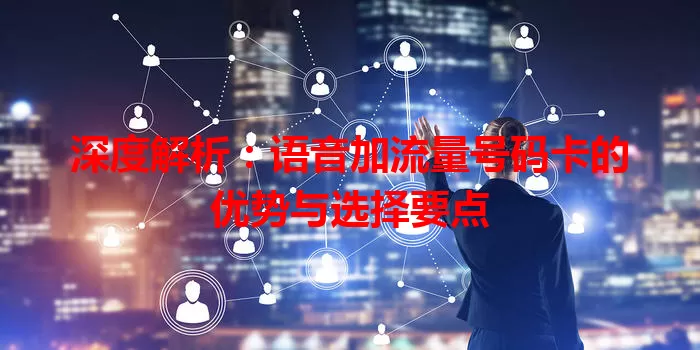 深度解析:语音加流量号码卡的优势与选择要点