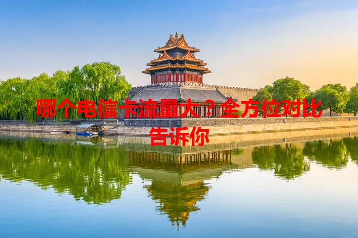 哪个电信卡流量大?全方位对比告诉你