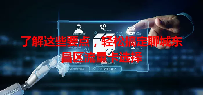 了解这些要点,轻松搞定聊城东昌区流量卡选择