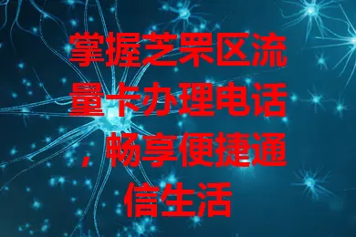 掌握芝罘区流量卡办理电话,畅享便捷通信生活