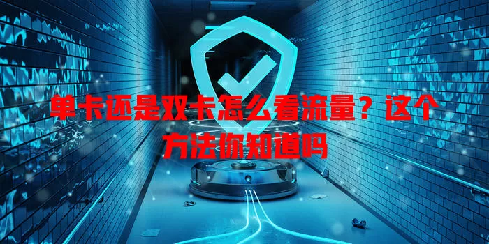 单卡还是双卡怎么看流量?这个方法你知道吗