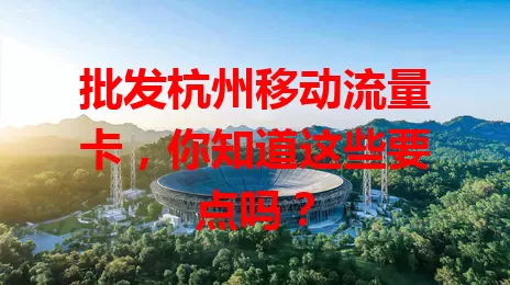 批发杭州移动流量卡,你知道这些要点吗?