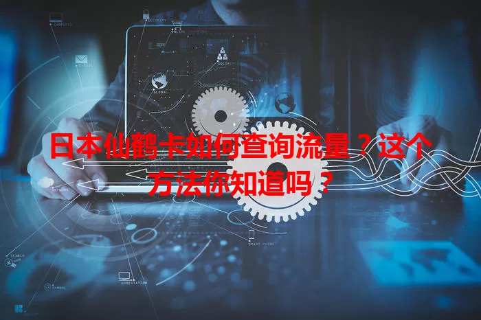 日本仙鹤卡如何查询流量?这个方法你知道吗?