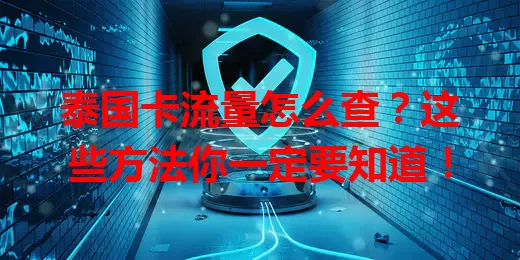 泰国卡流量怎么查?这些方法你一定要知道!