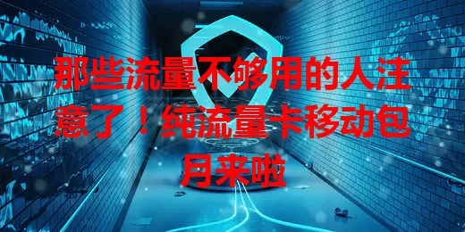 那些流量不够用的人注意了!纯流量卡移动包月来啦