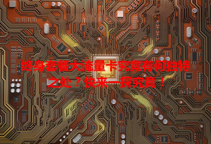 终身套餐大流量卡究竟有何独特之处?快来一探究竟!