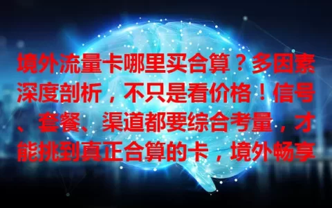 境外流量卡哪里买合算？多因素深度剖析，不只是看价格！信号、套餐、渠道都要综合考量，才能挑到真正合算的卡，境外畅享网络！