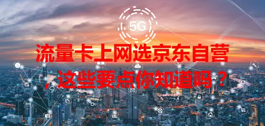 流量卡上网选京东自营,这些要点你知道吗?