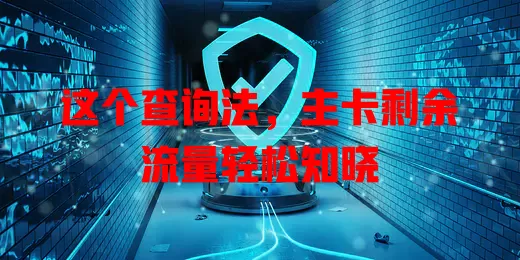 这个查询法,主卡剩余流量轻松知晓