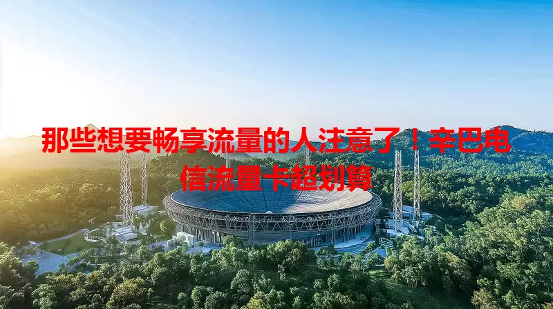 那些想要畅享流量的人注意了!辛巴电信流量卡超划算