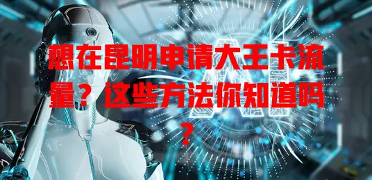 想在昆明申请大王卡流量?这些方法你知道吗?