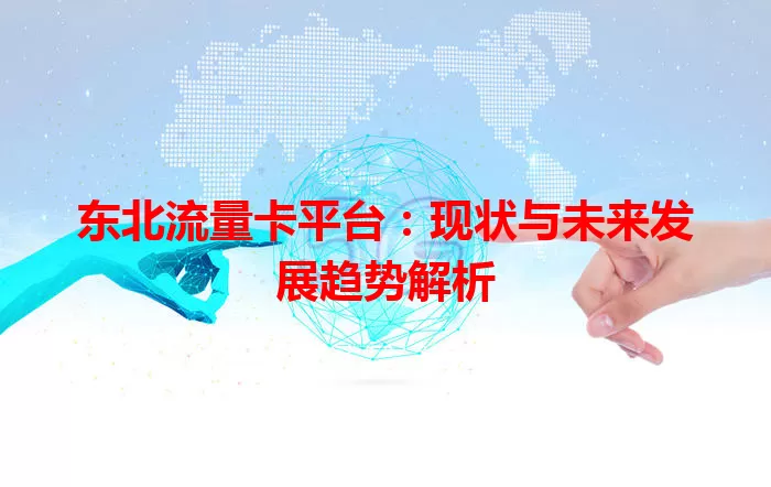 东北流量卡平台:现状与未来发展趋势解析