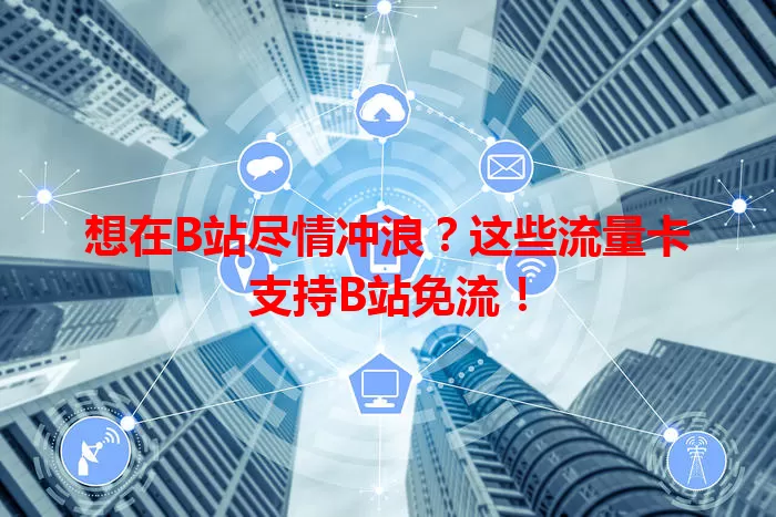 想在B站尽情冲浪?这些流量卡支持B站免流!
