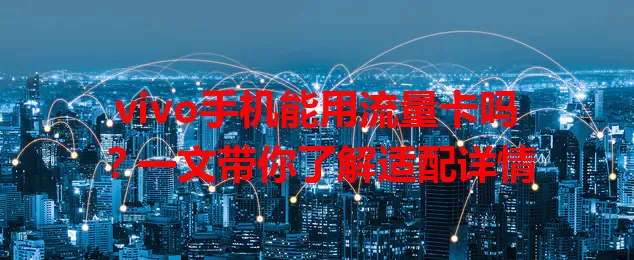 vivo手机能用流量卡吗?一文带你了解适配详情