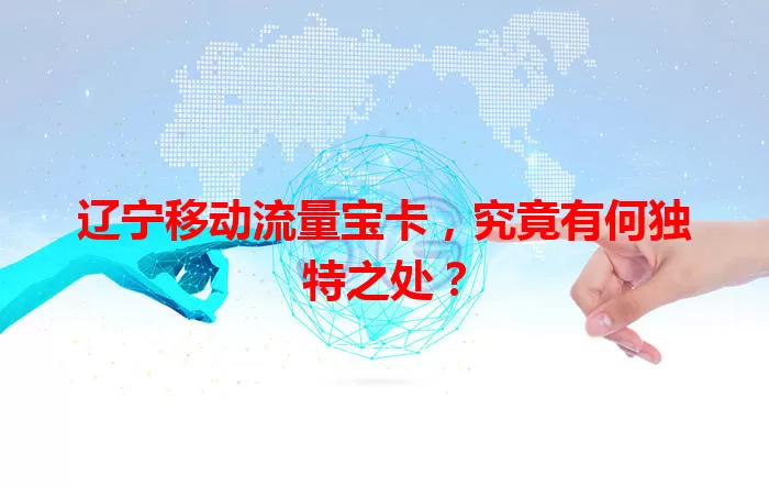 辽宁移动流量宝卡,究竟有何独特之处?