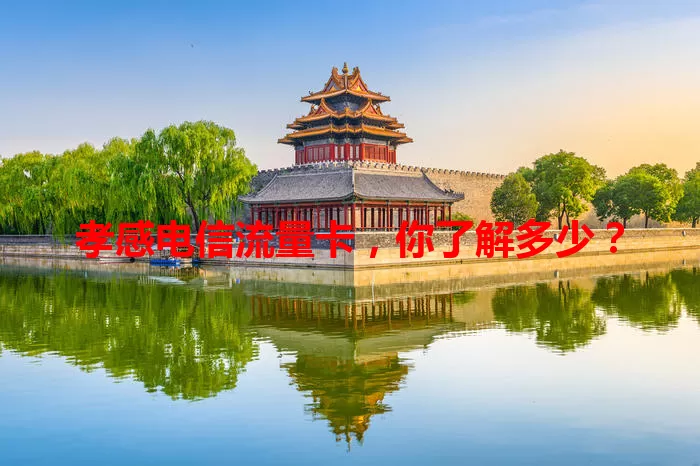 孝感电信流量卡,你了解多少?