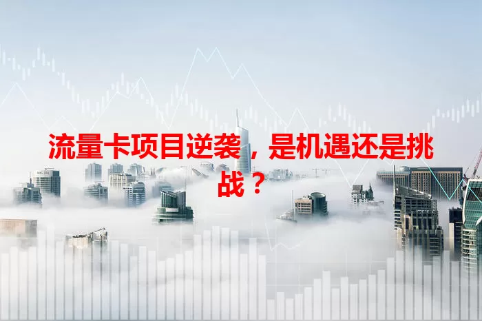 流量卡项目逆袭,是机遇还是挑战?