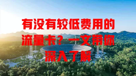 有没有较低费用的流量卡?一文带你深入了解