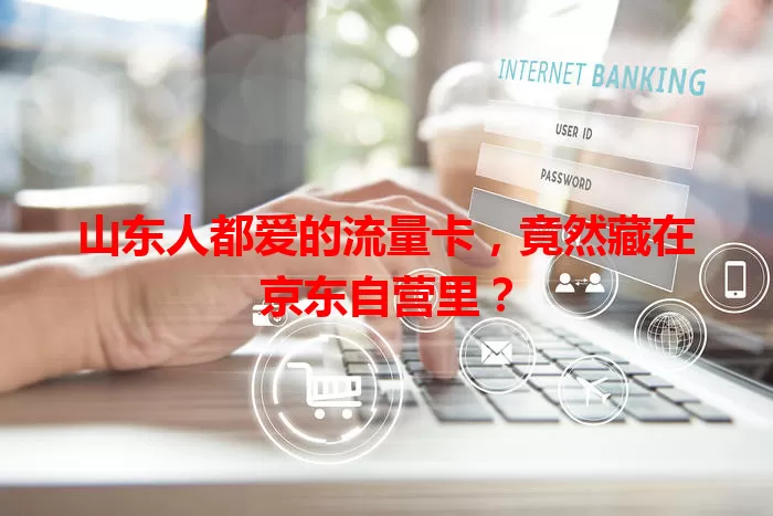山东人都爱的流量卡,竟然藏在京东自营里?