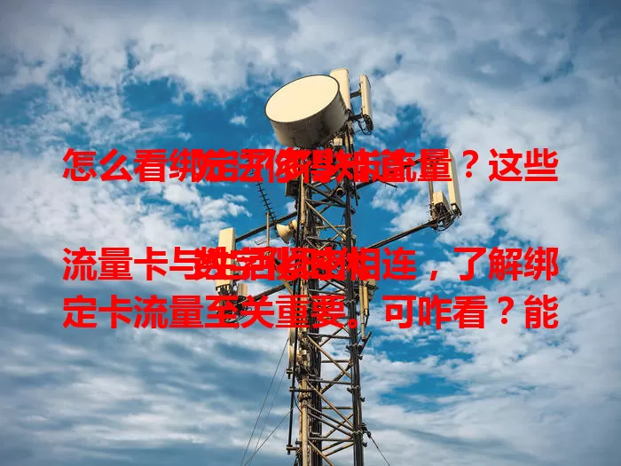怎么看绑定了多少卡流量?这些方法你得知道!
数字化时代流量卡与生活紧密相连,了解绑定卡流量至关重要。可咋看?能通过运营商官方APP查,也能拨客服电话或去线下营业厅。掌握查看方法,对数字生活意义重大,快试试!