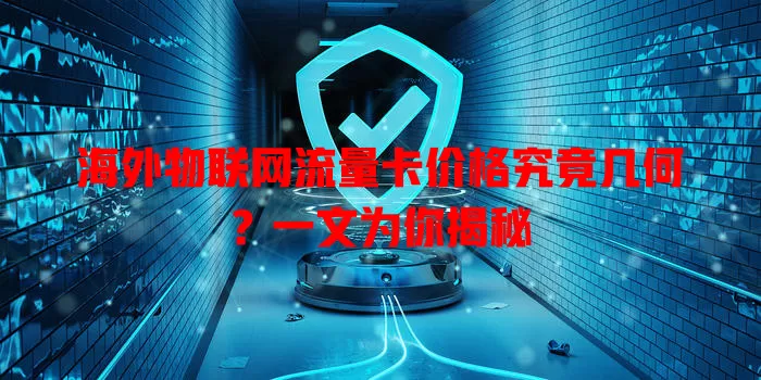 海外物联网流量卡价格究竟几何?一文为你揭秘